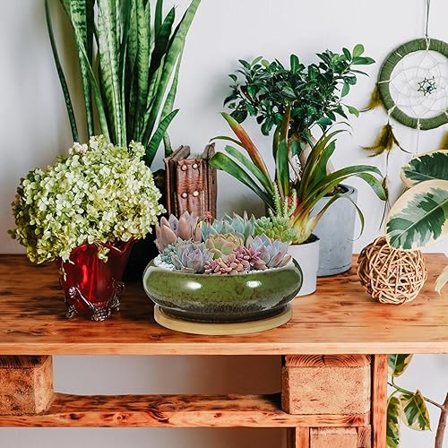 Miniatura 7 de GANAZONO Macetas suculentas para suculentas con drenaje de cerámica para bonsái con bandejas de bambú, macetas redondas poco profundas para plantas