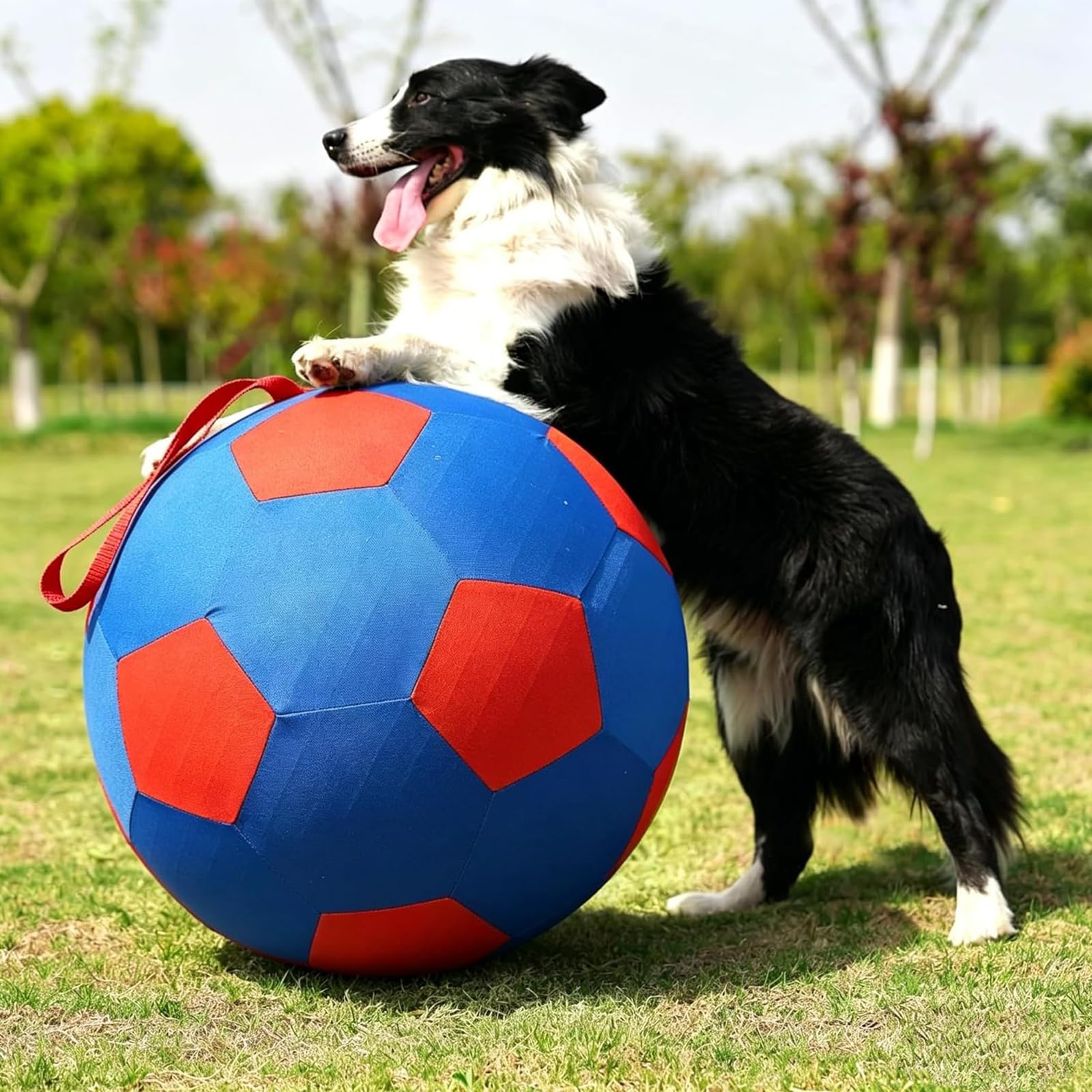 Piłka pasterska z wytrzymałą osłoną uchwytu i pompką dla psa piłka nożna zabawka dwuwarstwowa konstrukcja dla psów pasterskich Border Collie