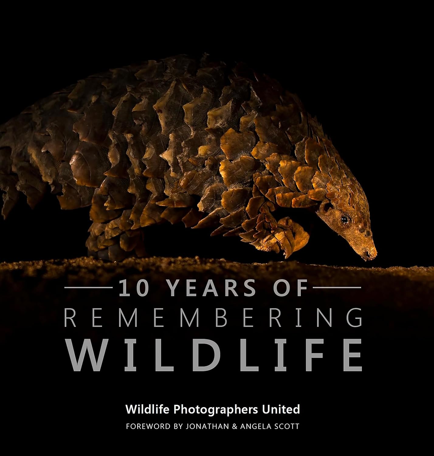 10 Years of Remembering Wildlife by Margot Raggett: Stunning Photo Essay Anthology for Pangolin Conservation