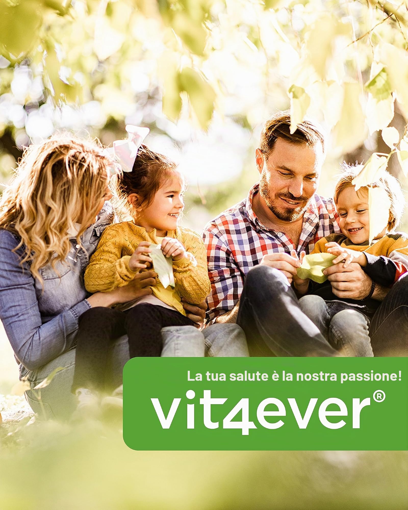 vit4ever Premium Omega 3 con l'80% di Acidi Grassi - 365 Capsule | 1000 mg di Olio di Pesce per Capsula con EPA e DHA - Forma di Trigliceridi
