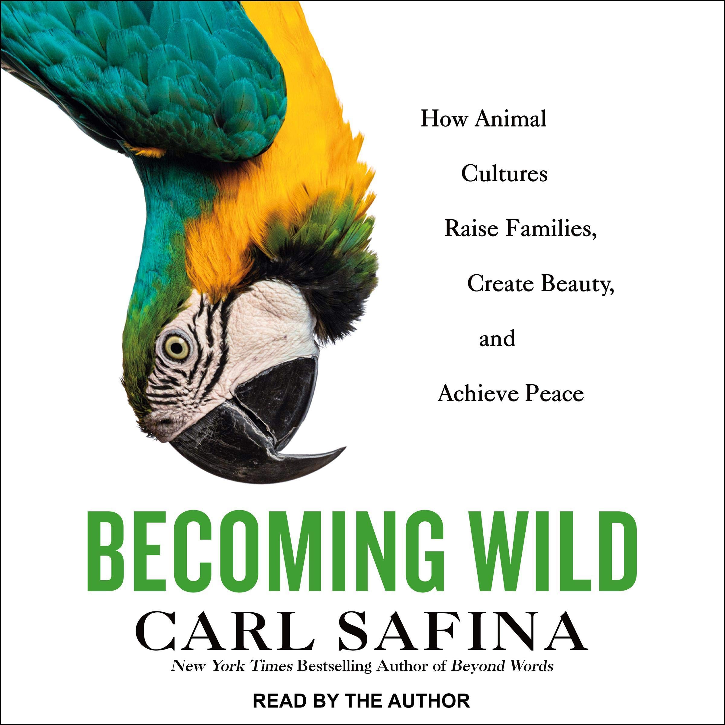 Cover art for Becoming Wild