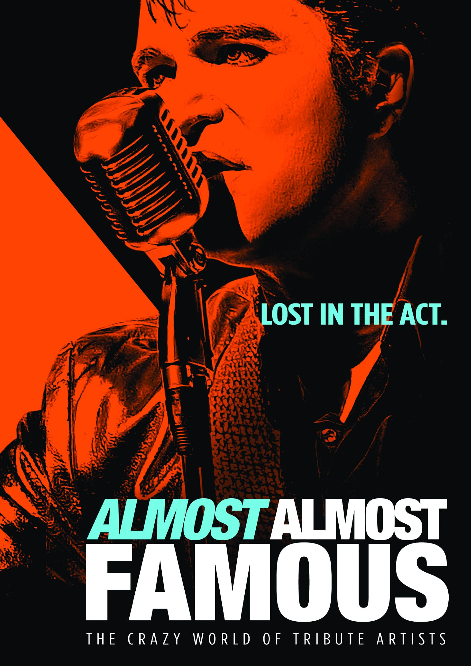 Almost Almost Famous DVD Vive la Nostalgia del Rock con esta Edición USA