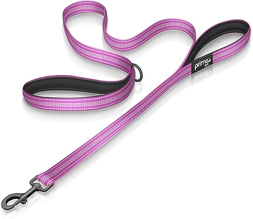 Reflective Nylon Dog Leash with Padded Double Handle, Heavy Duty Neoprene Handle for Control, Safety Training, Medium - 3/4" Width, Purple