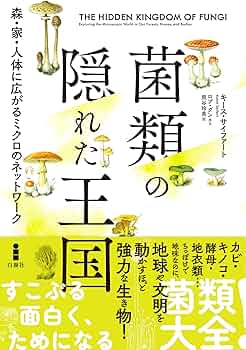 81RLUnt8vVL._AC_UF350,