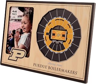 YouTheFan NCAA 3D StadiumView Picture Frame