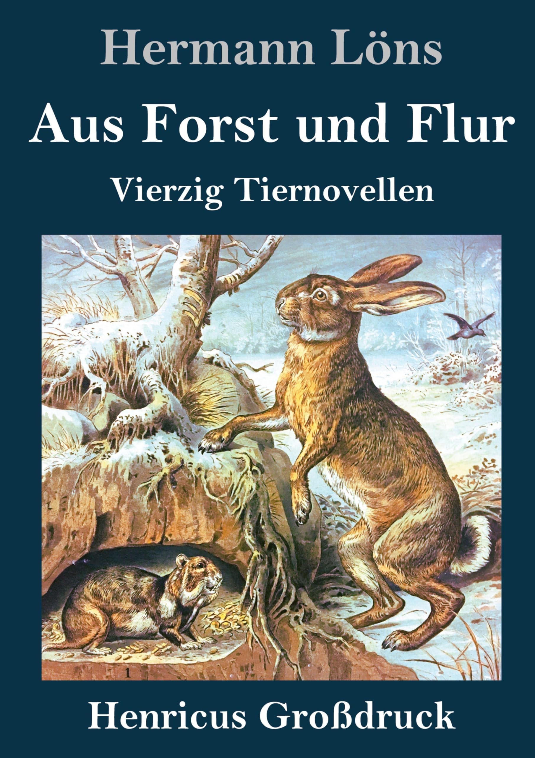 Aus Forst und Flur (Großdruck): Vierzig Tiernovellen