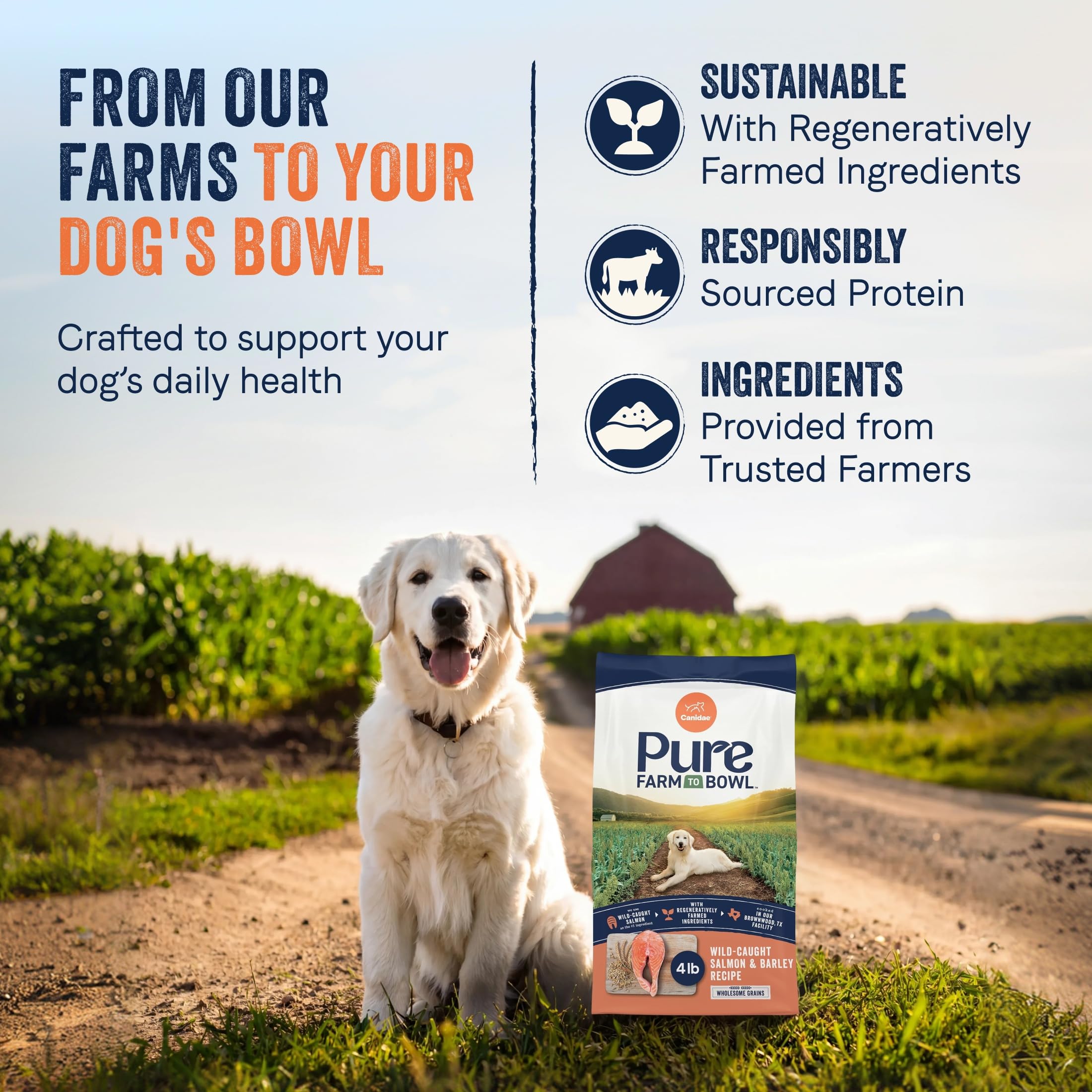 Canidae Pure Farm to Bowl Adult Dog Food — Salmon & Barley, 4 lb — alternate product view 2