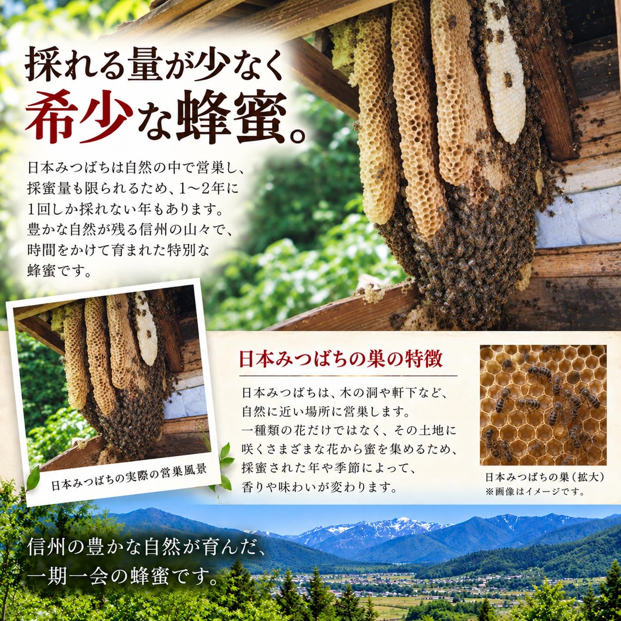 Amazon | 信州蜂蜜本舗 日本みつばちの蜂蜜 300g 長野県産 非加熱 百花
