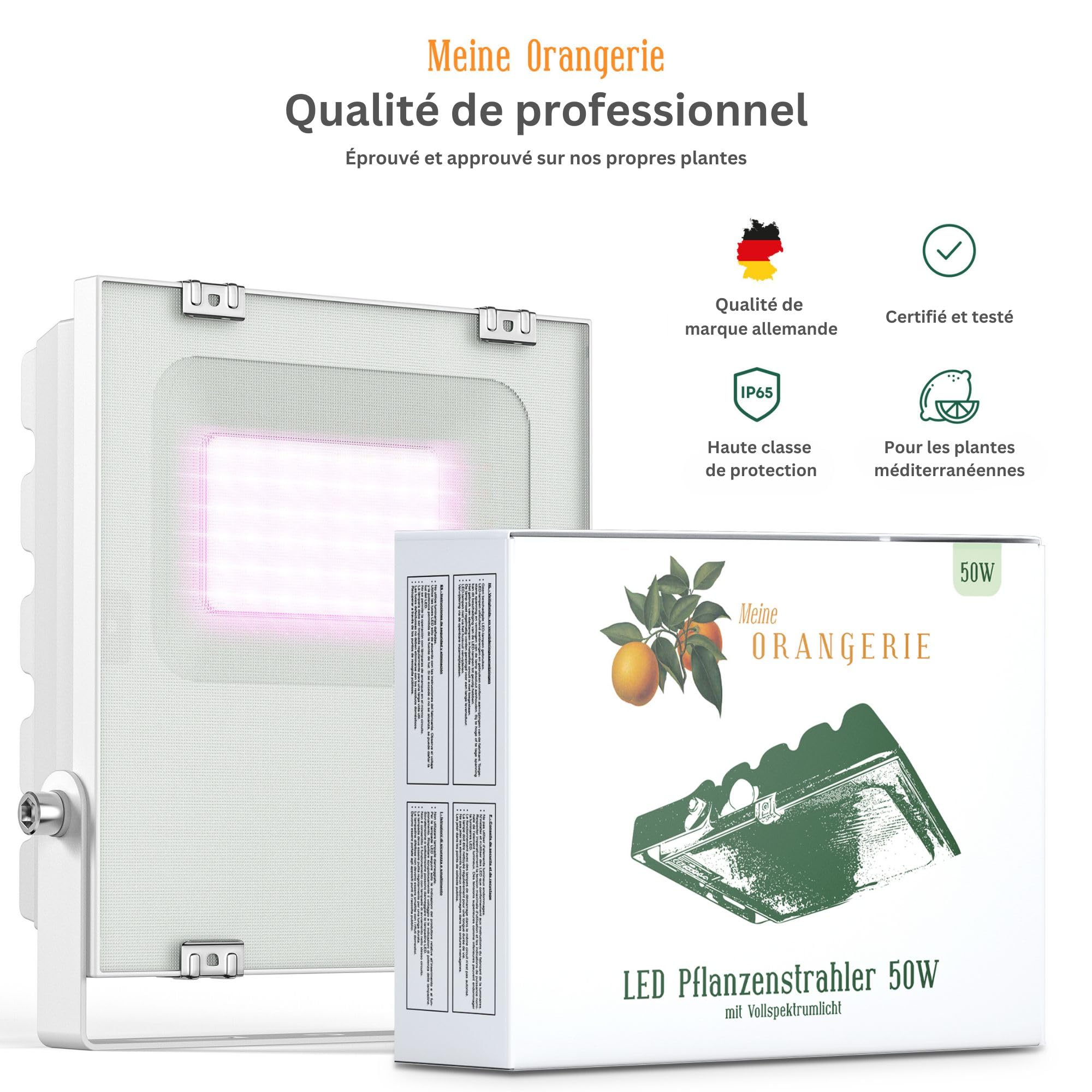Meine Orangerie - Lampe LED pour l'hivernage des plantes méditerranéennes - Développée avec des experts en agrumes. Lumière à spectre complet pour plantes (35)