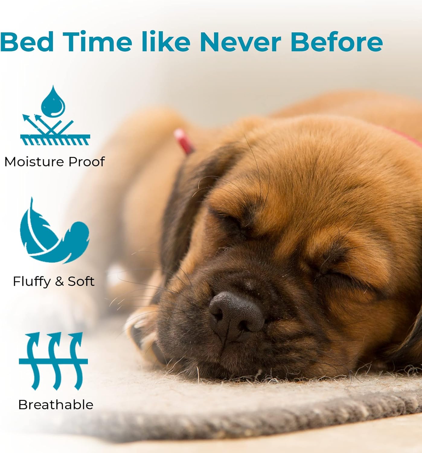 Bowsers Aspen Chenille Donut Bed for Dogs Calming Dog Bed with Removable Tufted Cushion and Overstuffed Bolster Ring Dog Bed with High Memory Polyester Fiber and Upholstery Grade Fabric Medium