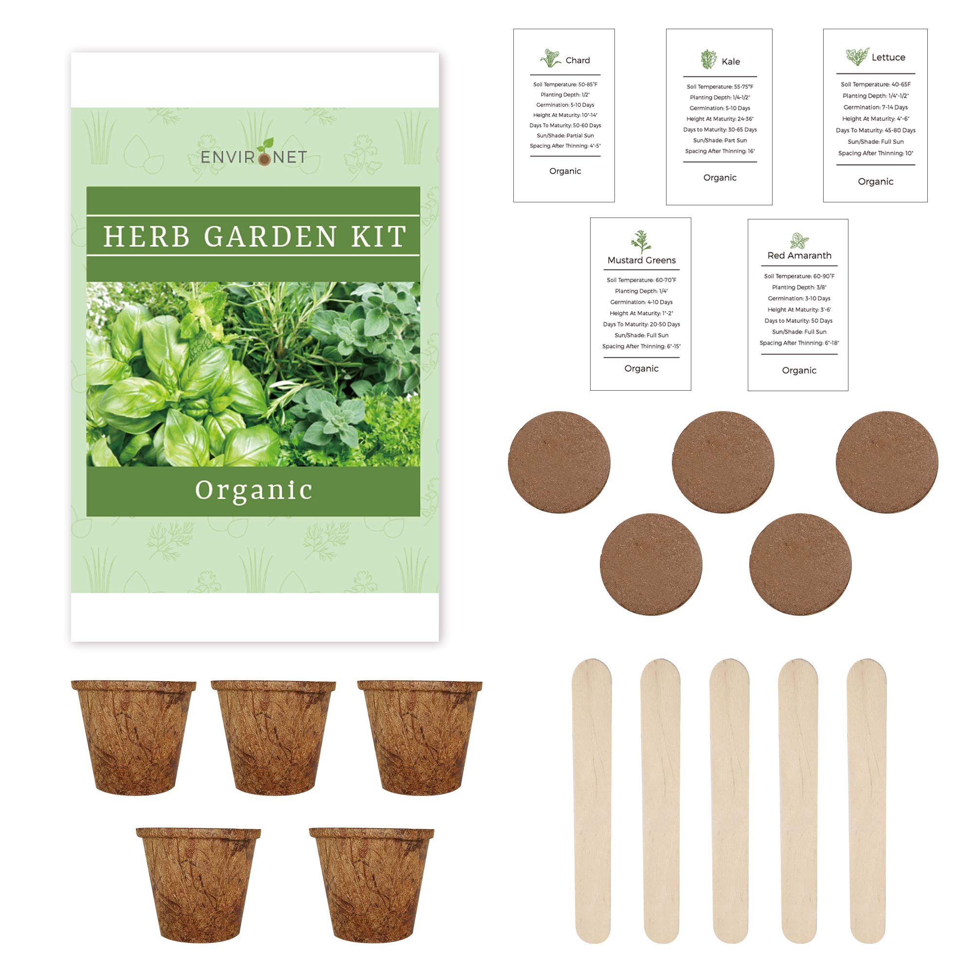 Vegetable Garden Kit. Seed Starter Kit Indoor. Grow 5 Different Salad Vegetables - Kale, Mustard mizuna, red Amaranth, Chard, Lettuce from Seeds at Home. Creative Gardening Gifts