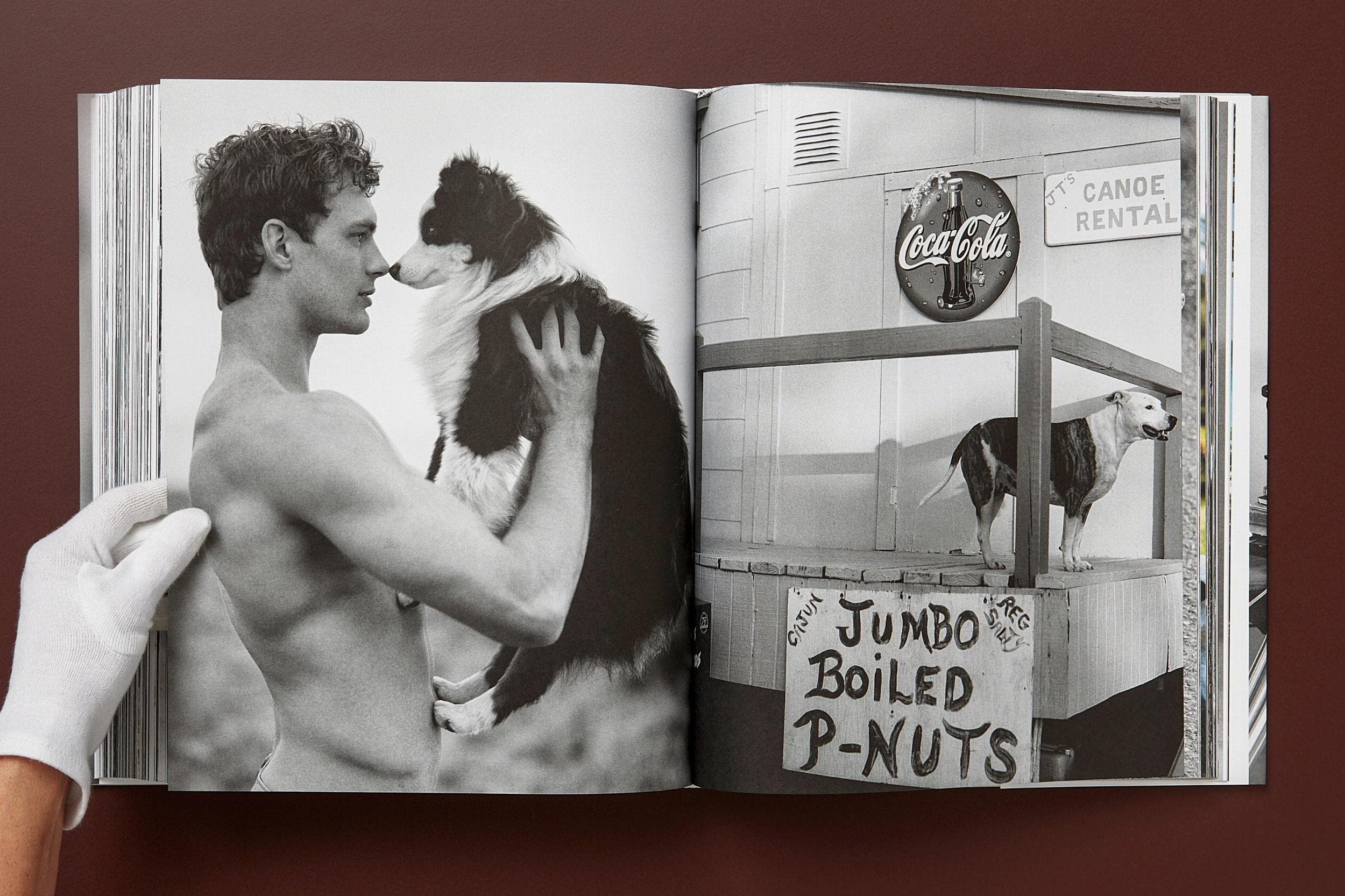 Bruce Weber: The Golden Retriever Photographic Society