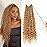 Goddess Boho Box Braids Crochet Hair-8 Packs 18 Inch Crochet Box Braids for Black Women Pre Looped ((27, 18 Inch (Pack of 8))