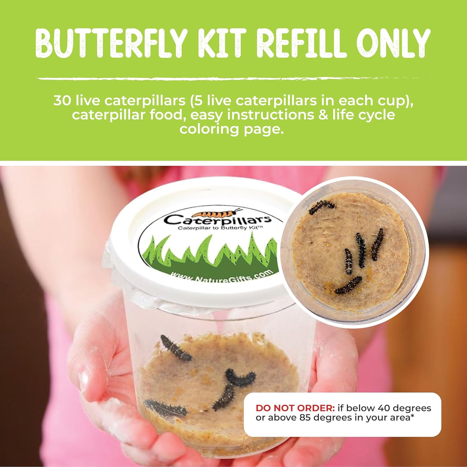 30 Live Caterpillars for Butterfly Habitat Kit - Refill for Painted Lady Butterfly Kit with Caterpillar Food, Instructions - Educational Science Kit, 6 Cups of 5 Caterpillars