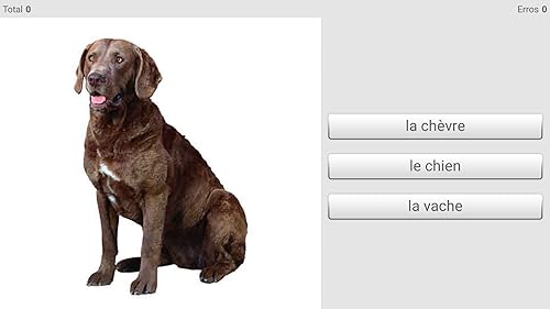 Aprendemos palavras francesas com Smart-Teacher