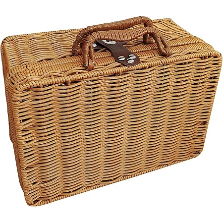 Flueyer Rattan Suitcase Basket, Wicker 