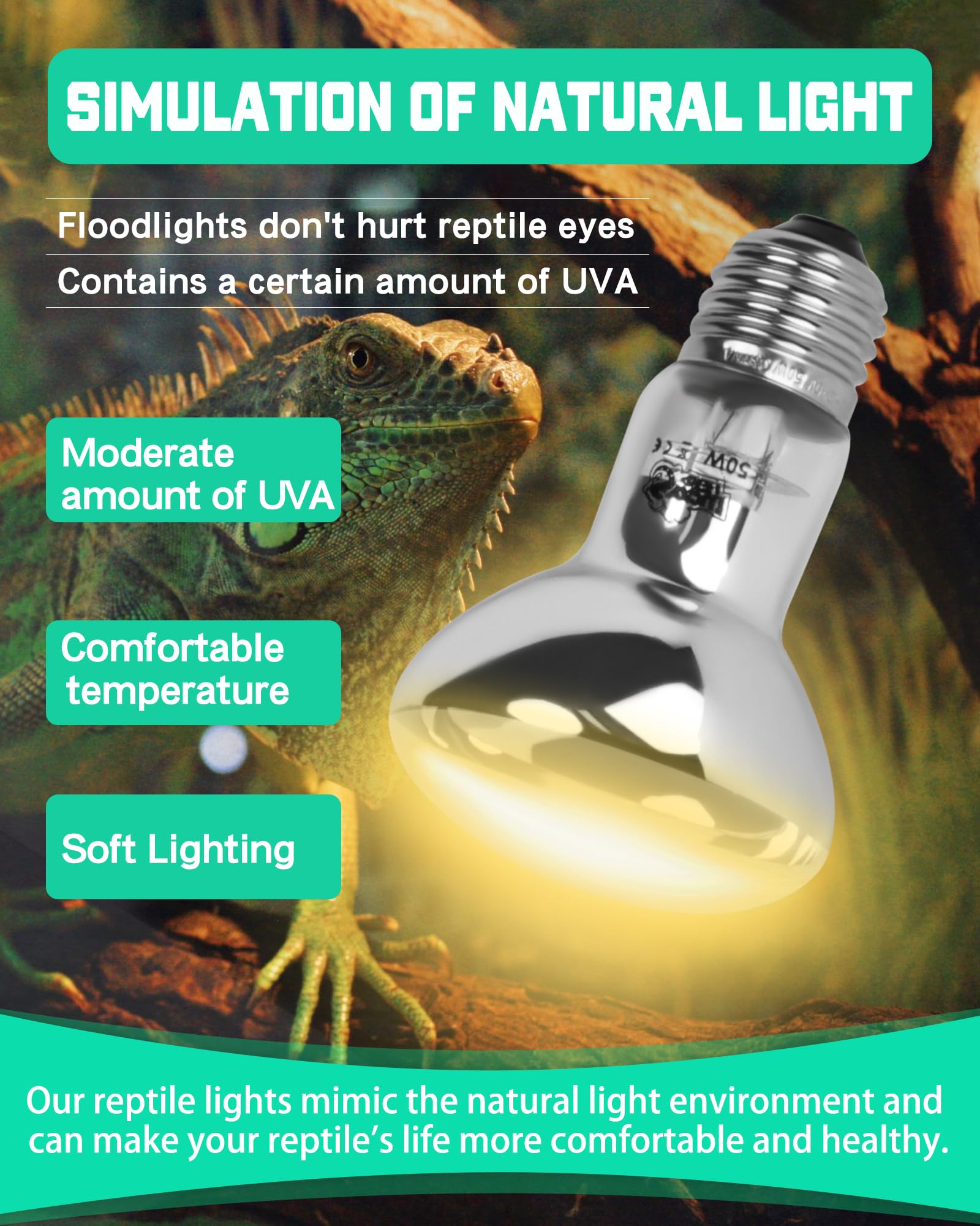 LUCKY HERP Reptile Heat Lamp Bulb - Image 4