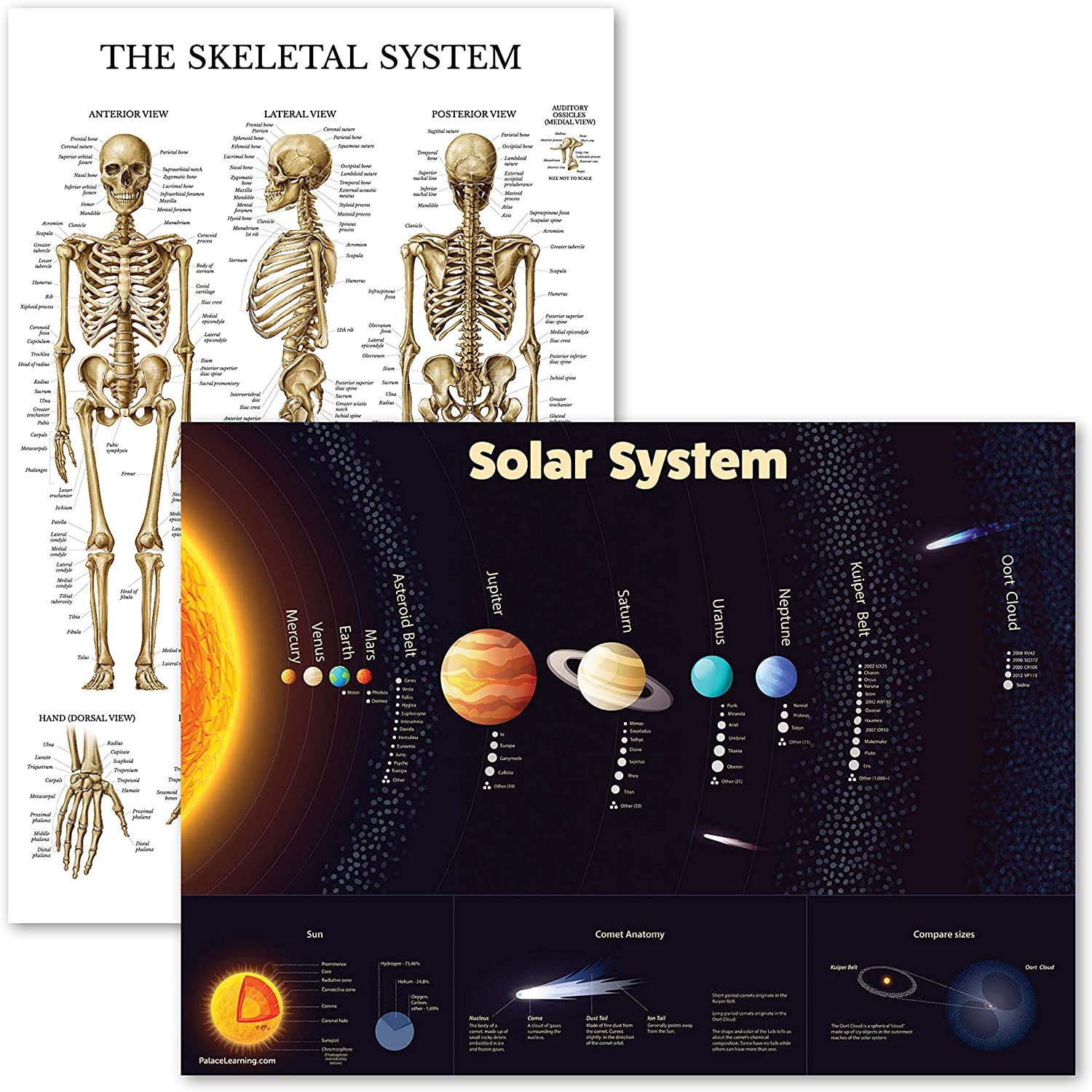 2 Pack - Solar System Poster for Kids & Skeletal System Anatomy Chart (Laminated, 18" x 24")