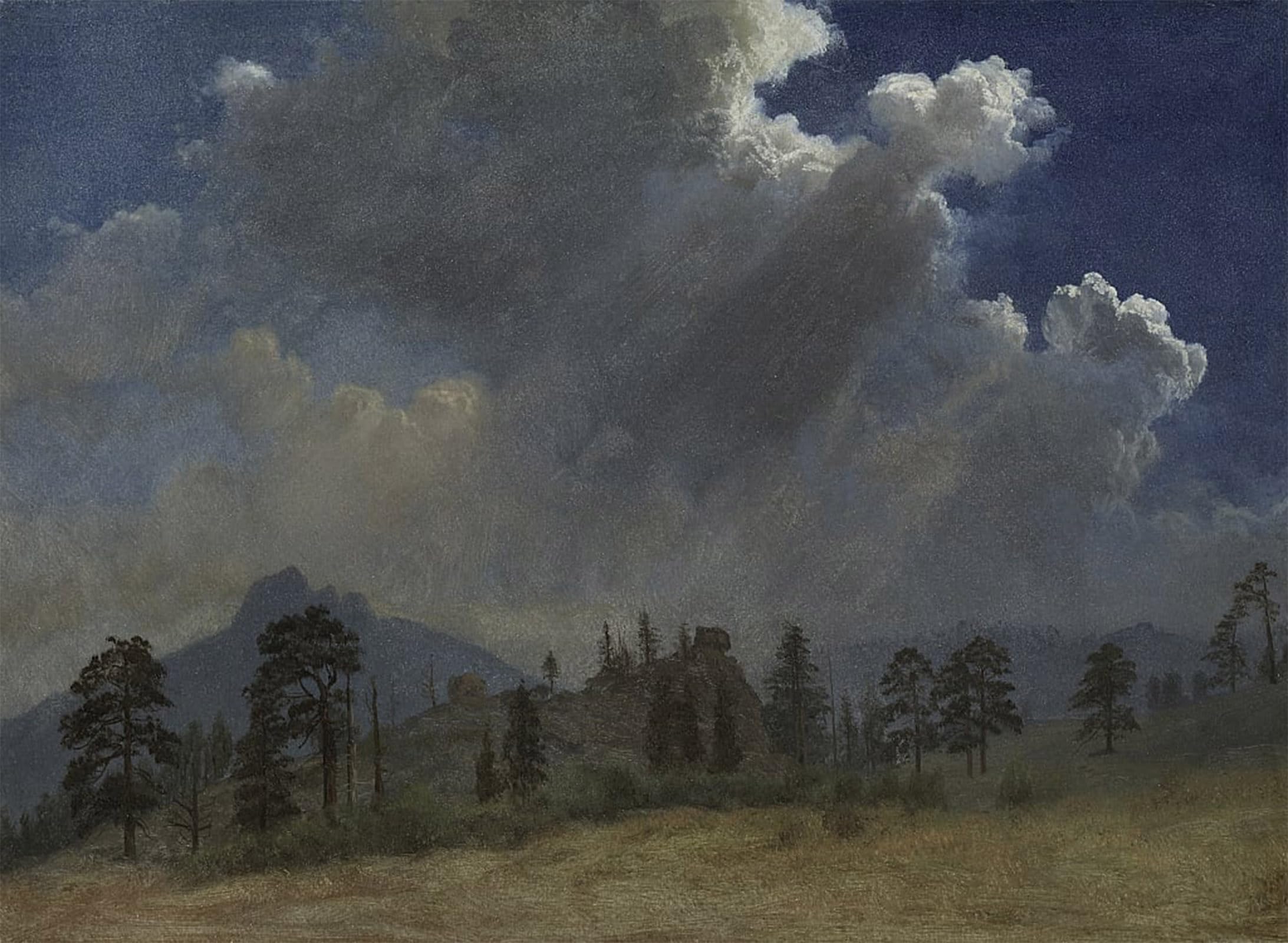 POSTERIIk Famous Animal Posters Vintage Picture Fir Trees and Storm Clouds by Albert Bierstadt Modern Wall Decor for Home Decor 60x90cm