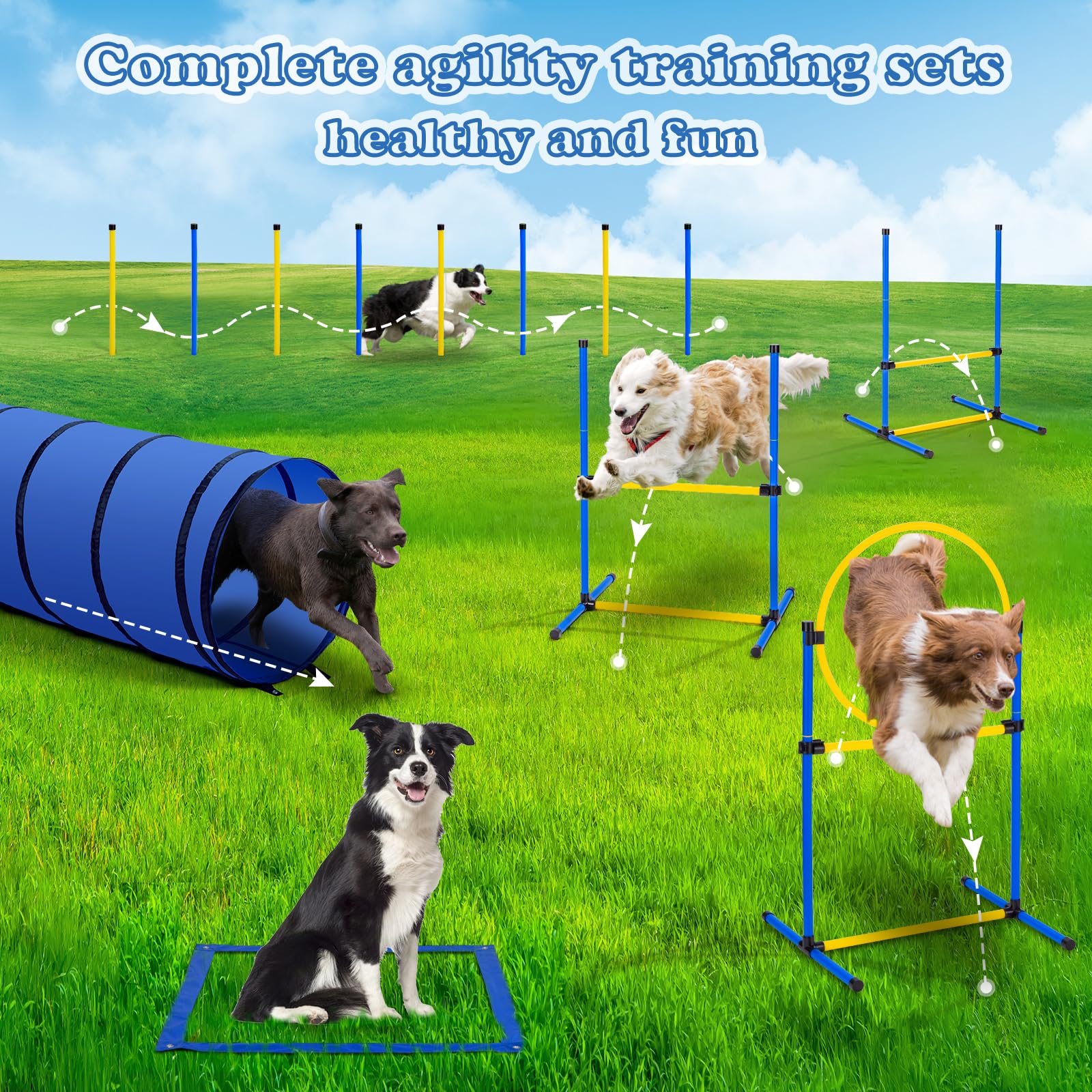 Agility Hurdles Dog Agility Training Set 2-Piece Backyard