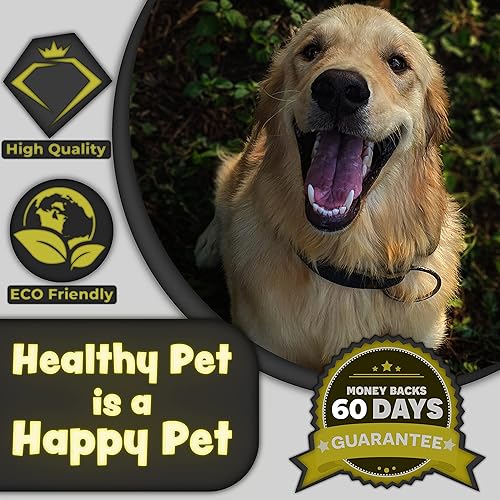 Miniatura 7 de H&H Pets Juego de cepillos de dientes de bambú para perros y gatos, cerdas suaves y cepillo de dientes de madera biodegradable, suministros para