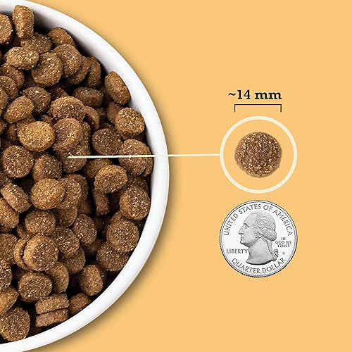 Miniatura 5 de ACANA Wholesome Grains Dry Dog Food Free-Run Poultry & Grains Recipe with Cage-Free Eggs 22.5lb Bag