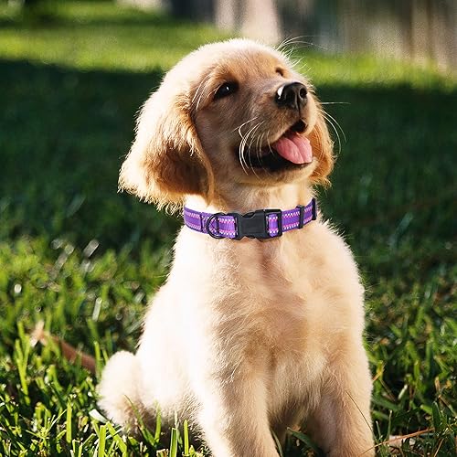 Miniatura 3 de Mile High Life Collar de nailon con luz nocturna, collar reflectante para perro, correa autoluminiscente fluorescente para perros pequeños, medianos