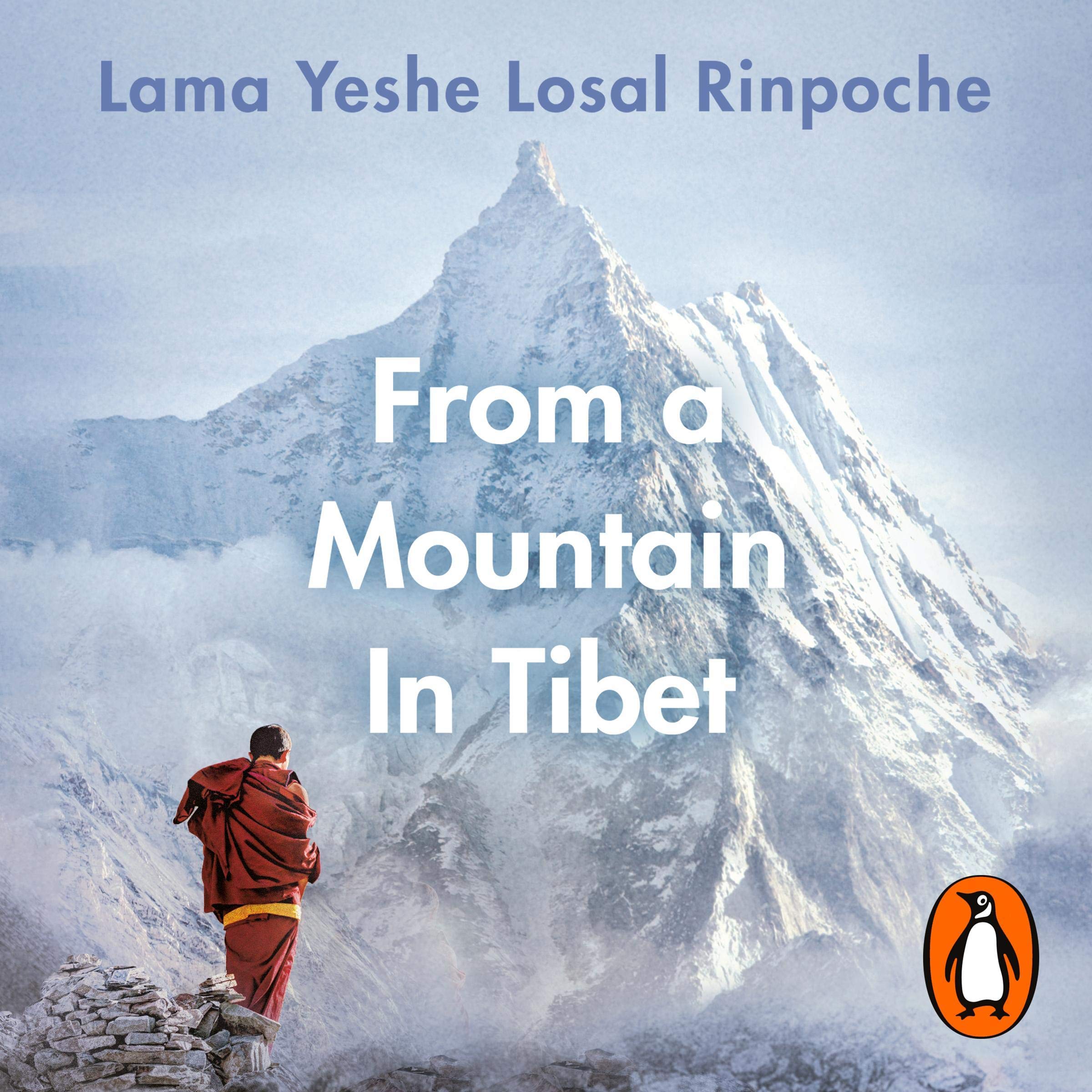 Cover art for From a Mountain In Tibet