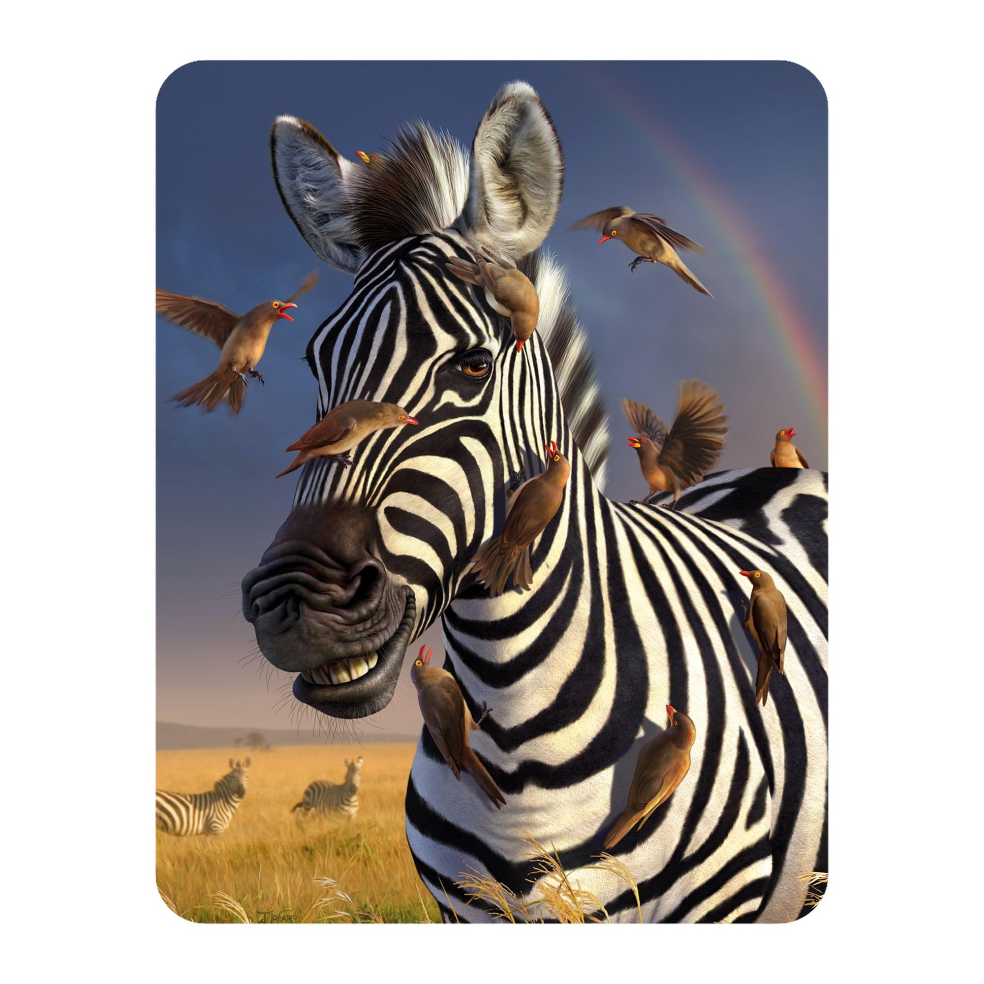 3D LiveLife Magnet - Jailbird from Deluxebase. Lenticular Animal Fridge Magnet. Decorative 3D Zebra Flat Magnets. Cute Small Magnets for Fridge, Dishwasher and Whiteboard.