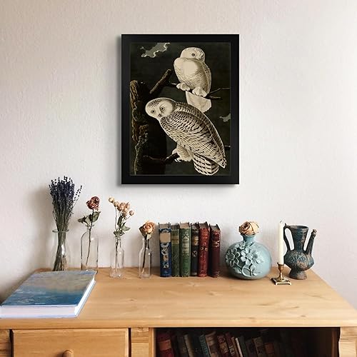 Miniatura 3 de Lost Cabin Snowy Owl de James Audubon  Impresión en marco biselado negro  Reproducción de pintura de obras de arte finas  Póster decorativo
