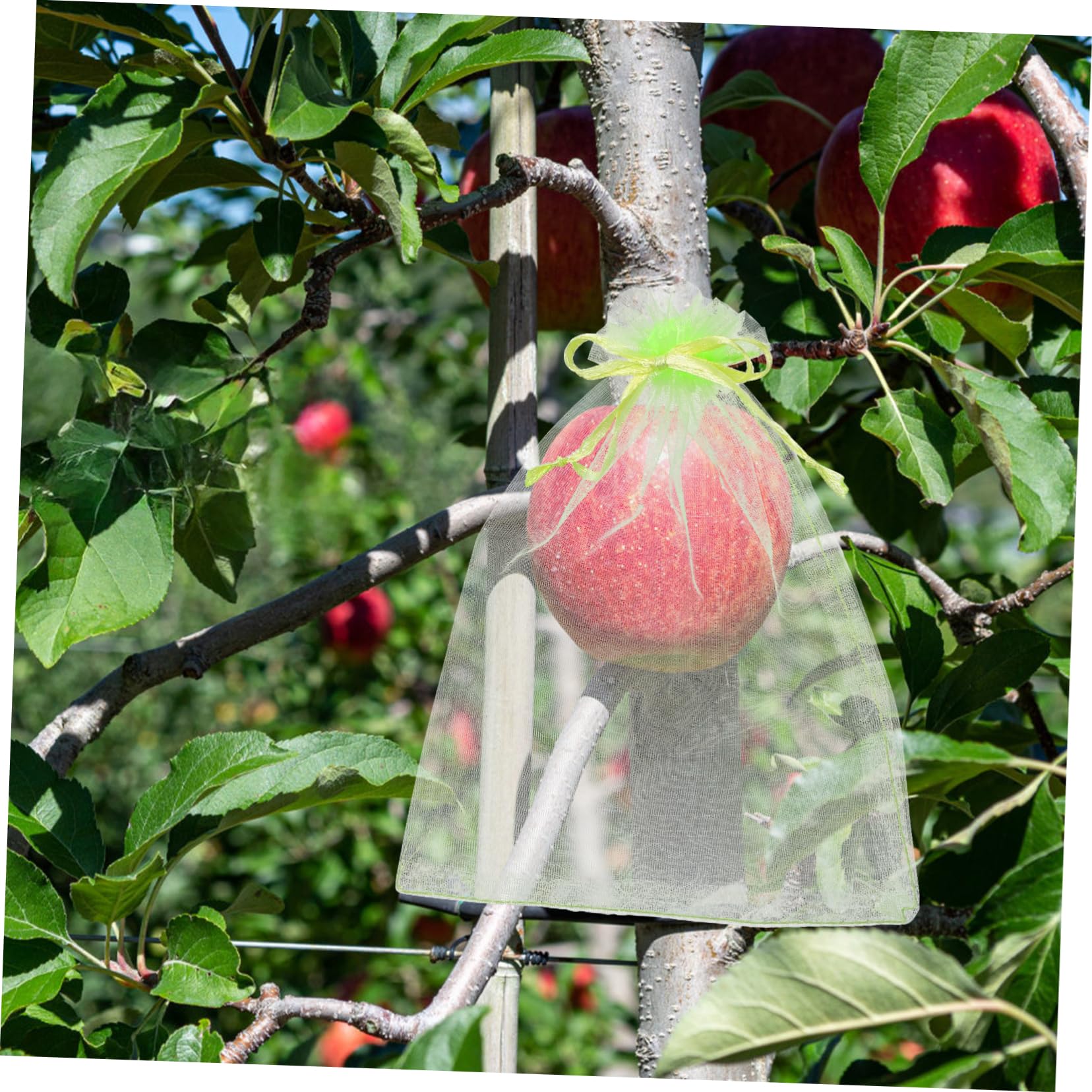 Sacchetti A Rete In Poliestere Per Frutta E Verdura Con - Foto 9