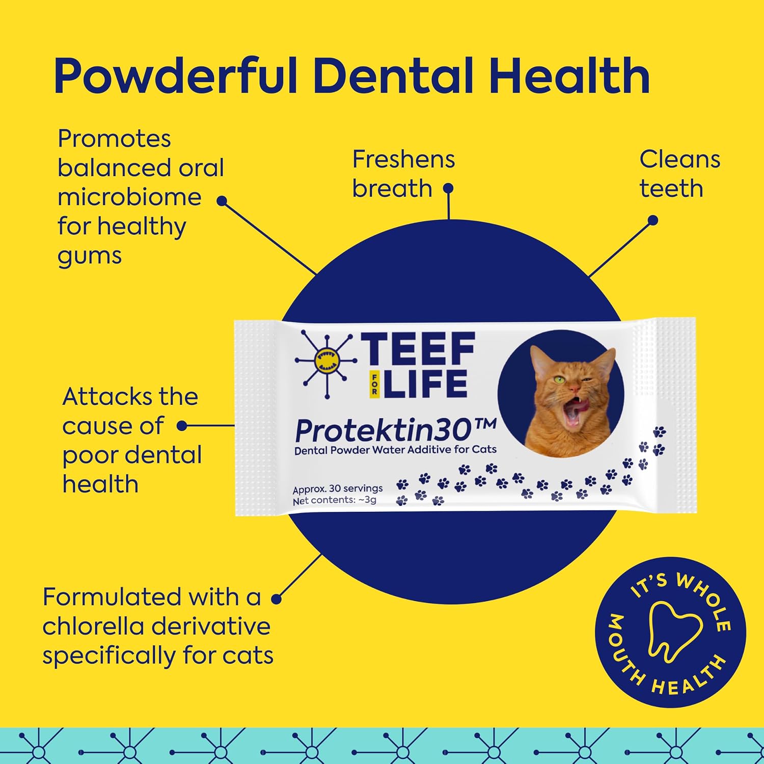 TEEF for Life Protektin30 Prebiotic Cat Dental Powder Refill, 90 Servings image 3