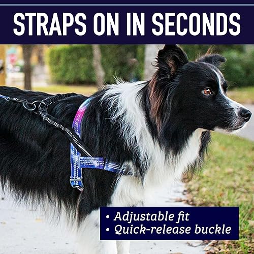 Miniatura 8 de Leash Boss - Arnés de perro sin tirones, fácil de caminar para mascotas pequeñas, medianas y grandes, reflectante con clip de fijación trasero y