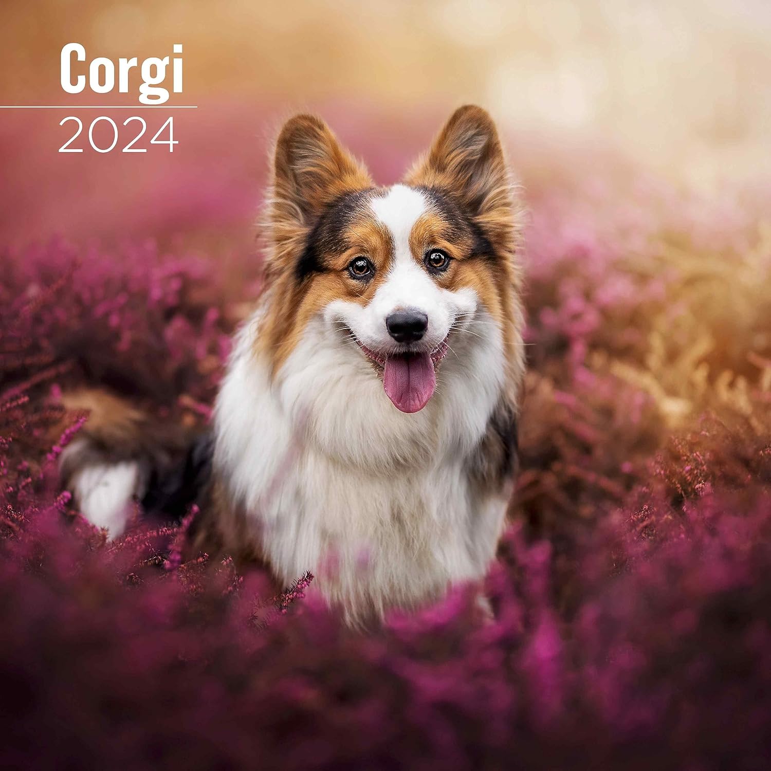 MegaCalendars Calendar 2024 Dog Breed Wall Calendar