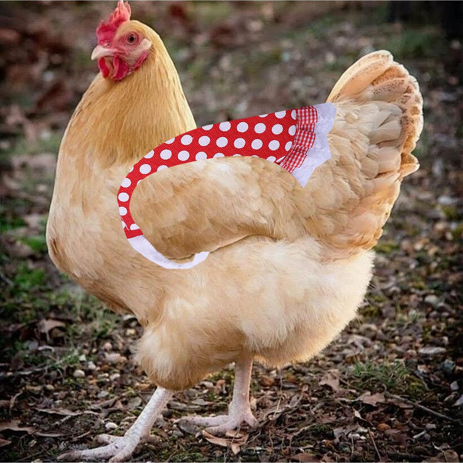 Delantales para Gallinas - Chaquetas para Gallinas,Delantales Transpirables Ajustables para Uso En El Gallinero Y La Granja Que Protege A Las Aves De Corral Incluyendo Pollos Y Gallos