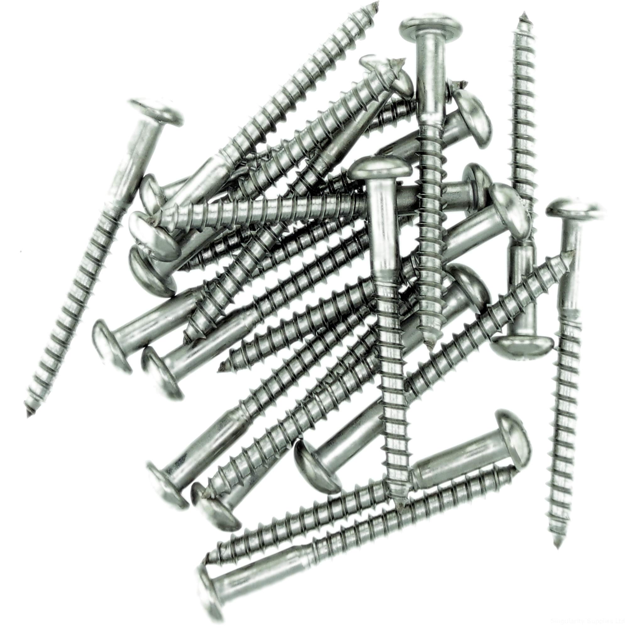 Singularity Supplies No.6 X 1.18 (3.5Mm X 30Mm) Pozi Pan Wood Screw - Stainless Steel (A2) (Pack Of 20)