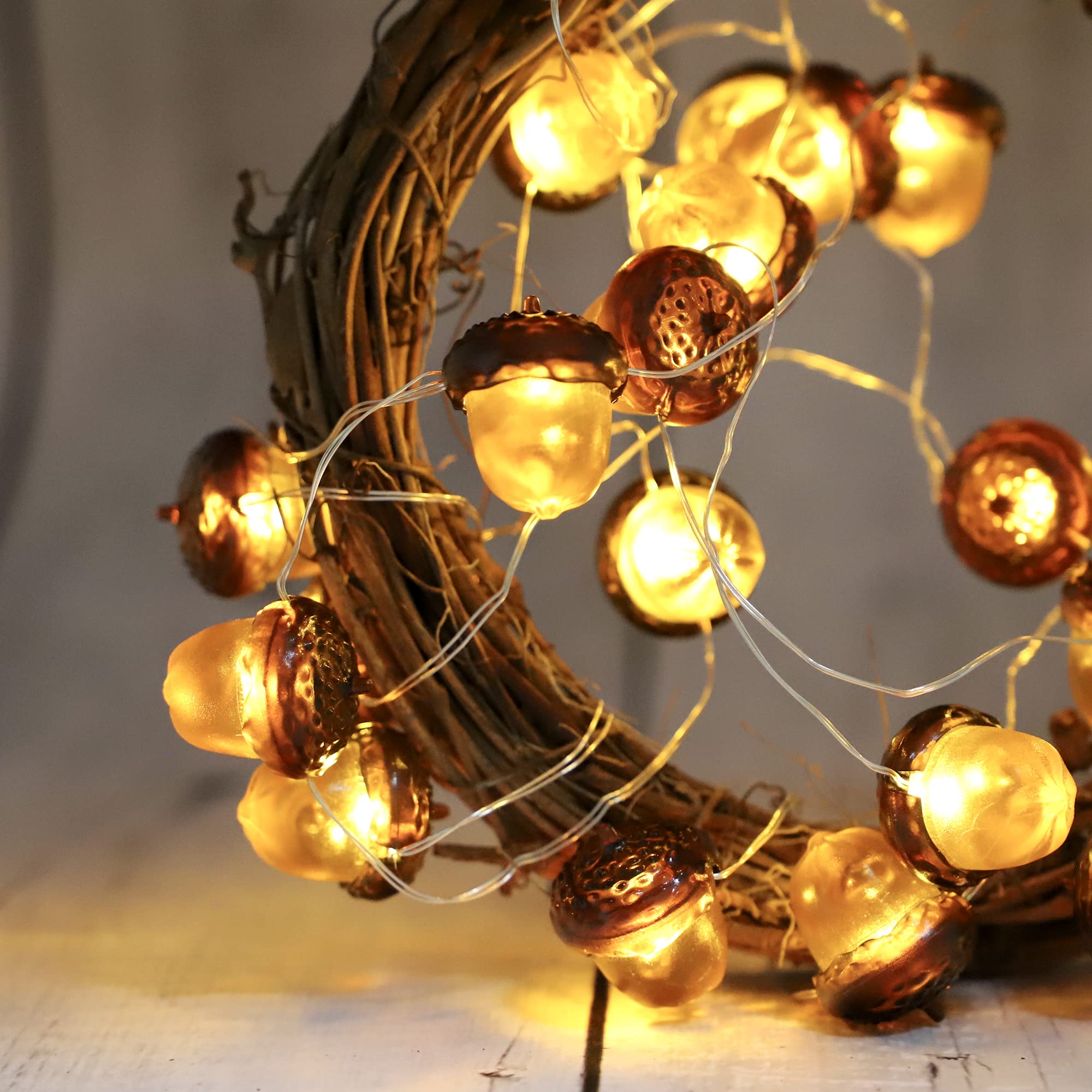 Amazon.co.jp: MIYA LIFEのどんぐりライト 秋のストリングライト