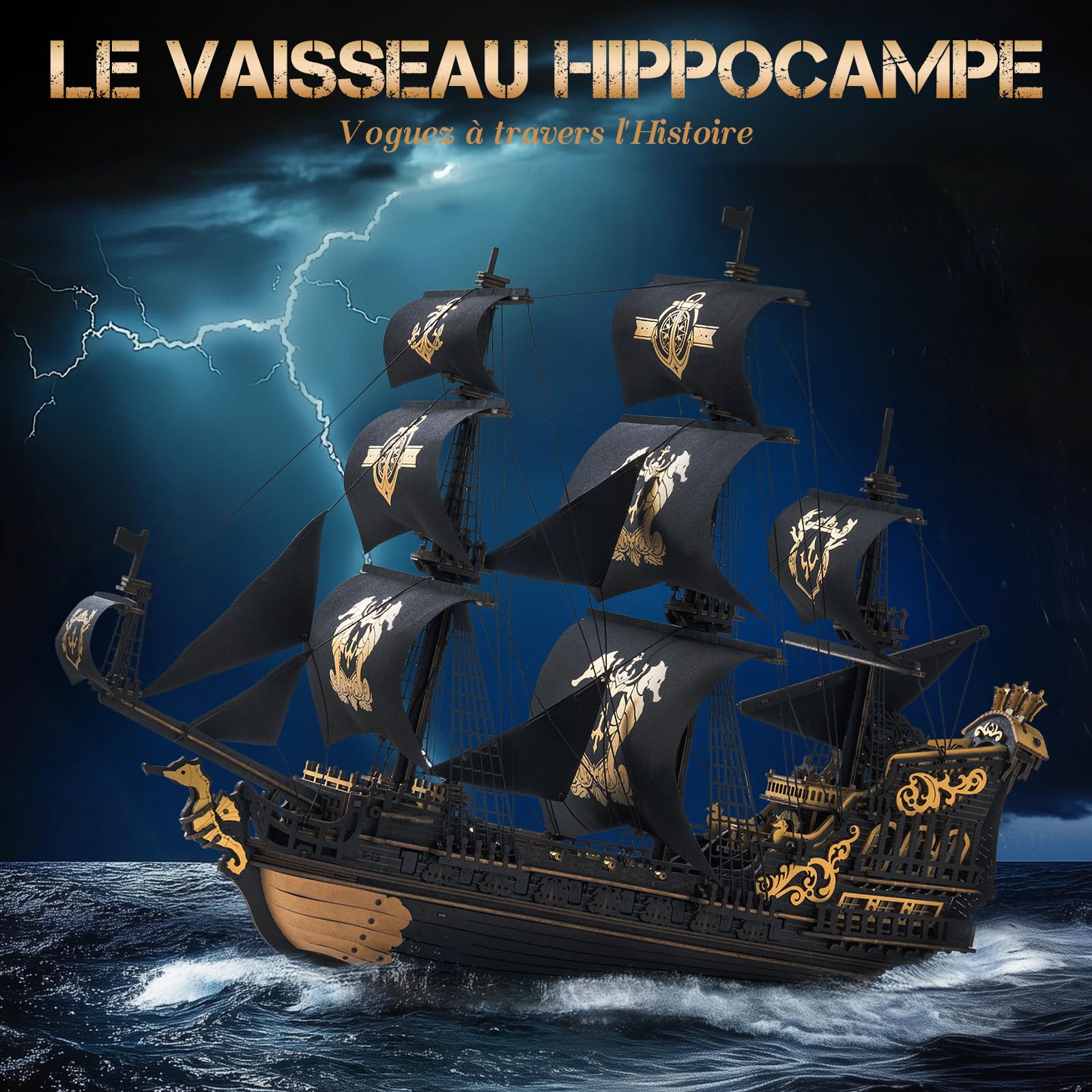 ROKR Puzzle 3D Bois Barque Hippocampe MCB02 Maquette Bateau Adulte Construire Kit Modélisme Décoration Bureau Maison Cadeau Homme