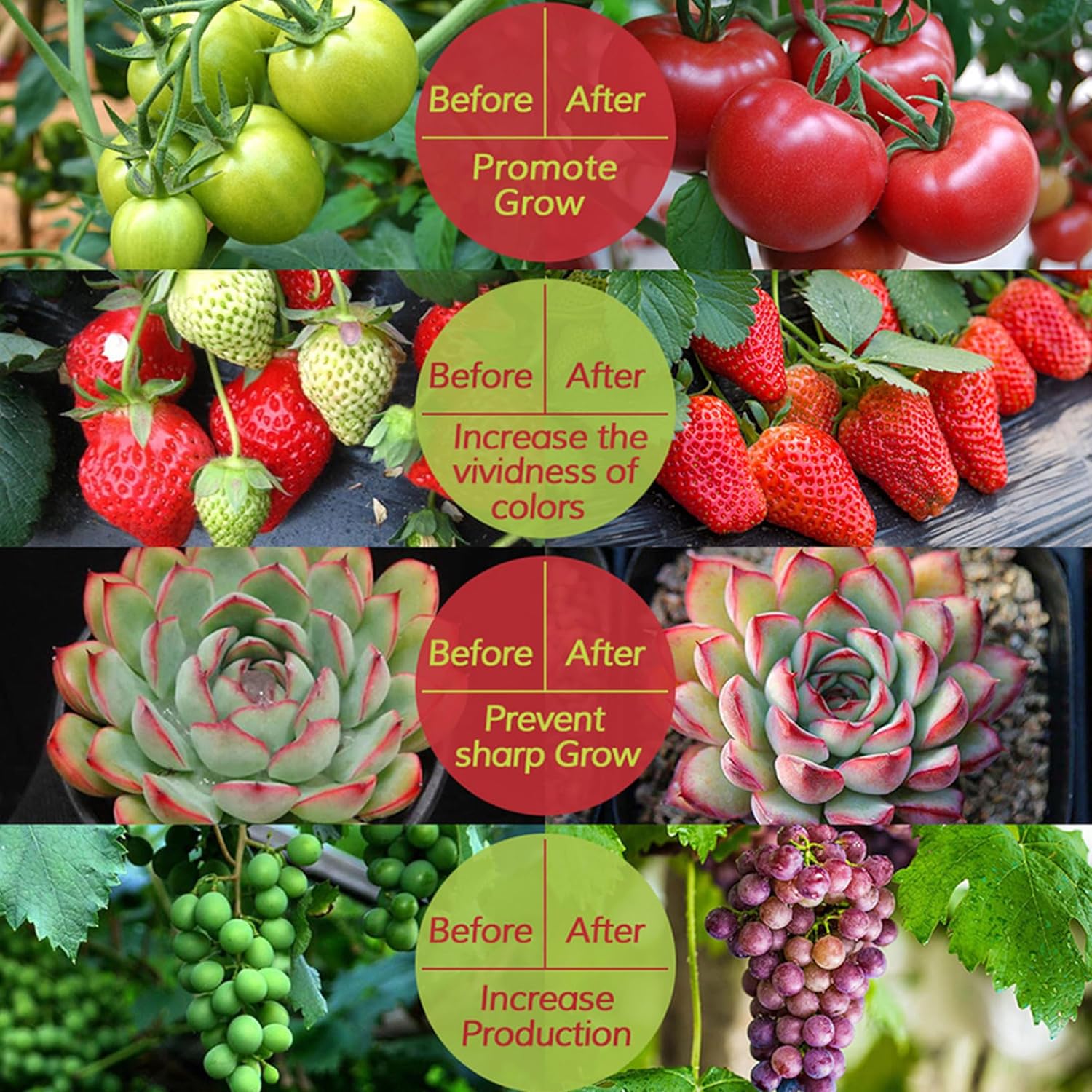 Solar Powered Grow Lights, 16.4ft Plant Light Strip with Solar Panel Full Spectrum Solar Grow Lights, Solar Heat Lamp for Outdoor Indoor Garden Greenhouse Supplies, Solar Powered Grow Lights