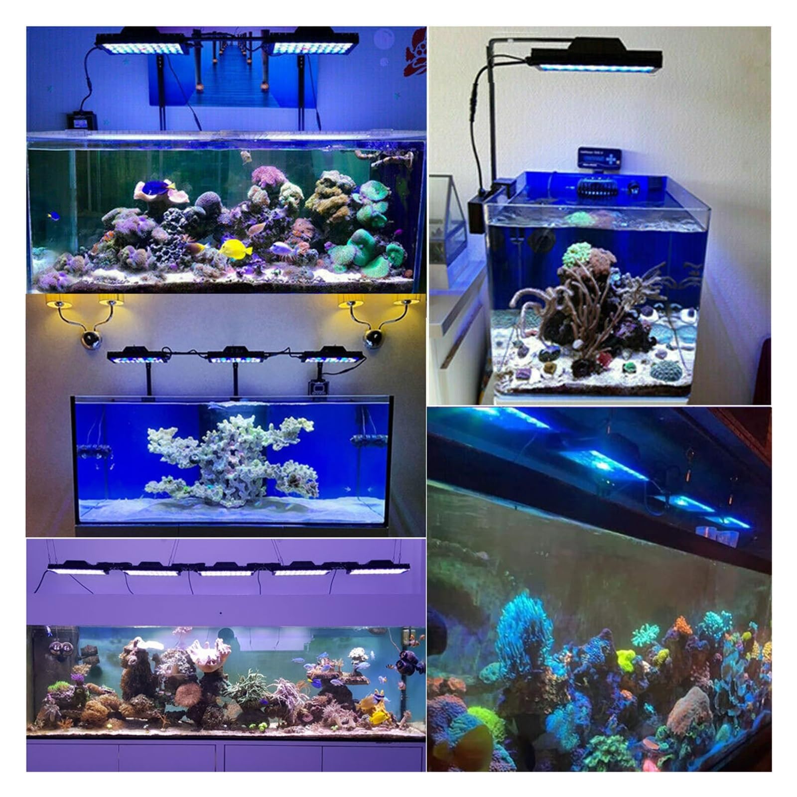 oświetlenie akwarium Oświetlenie Led do akwarium, oświetlenie Led do akwarium morskiego, oświetlenie LED rafy dla rafy koralowej SPS LPS akwarium morskie do akwarium roślinnego(1 lamp with hang kit)