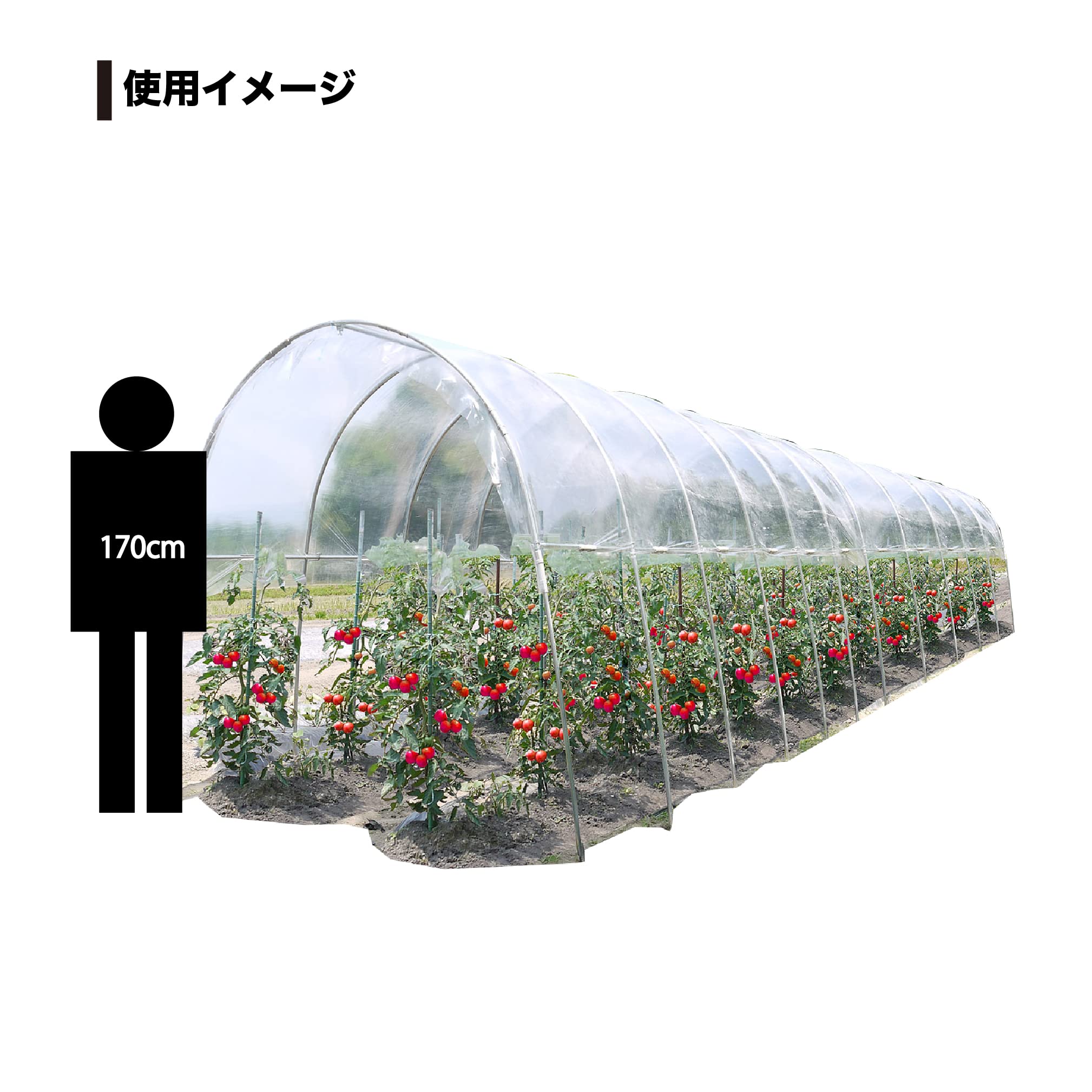 Amazon.co.jp: 南榮工業(Nan-a Corporation) 雨よけハウス 2畝用