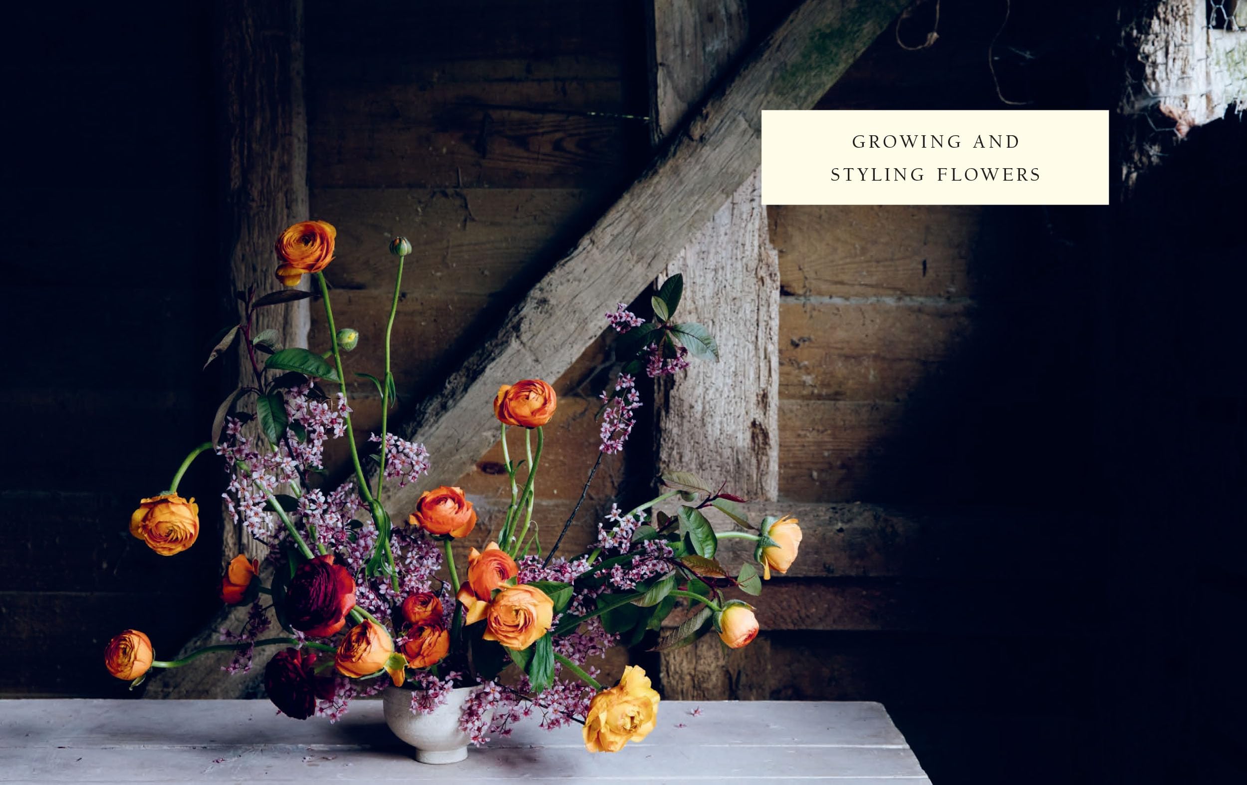From Seed to Bloom: A Year of Growing and Designing With Seasonal Flowers
