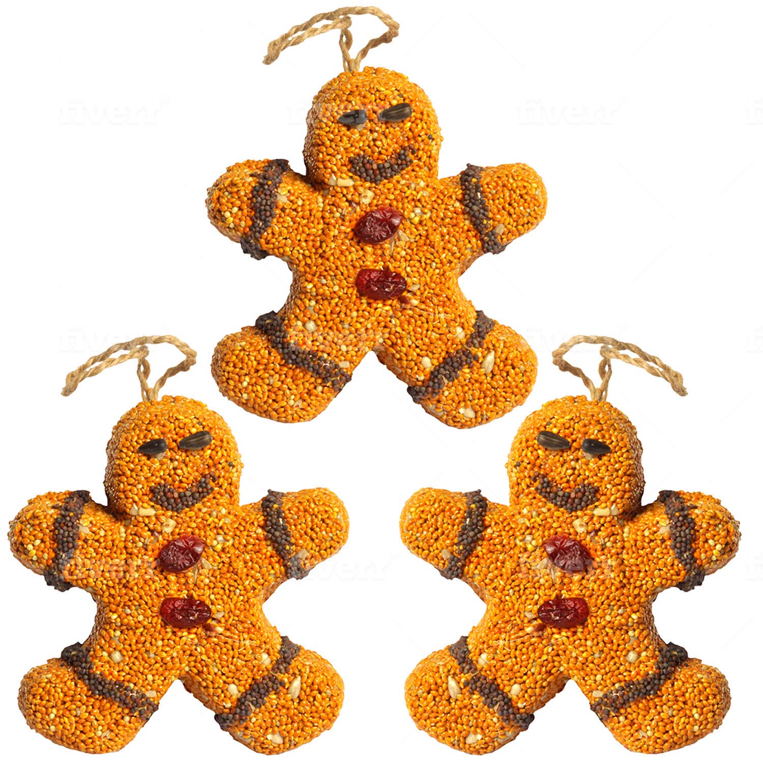 Mr. Bird - Bird Seed Gingerbread Men - 3 Pack