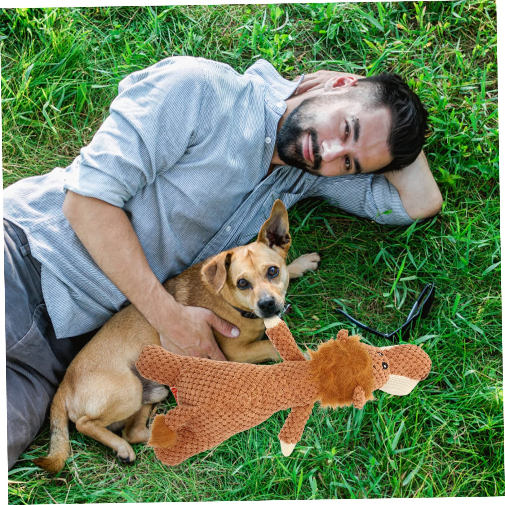 Toddmomy 3 Piezas Accesorio Cachorro Dog Toys Juguete Juguete para Mascotas Peluche Juguetes Juguete para Cachorros Resistente a mordeduras Juguete para Masticar doméstico vocalizar