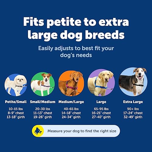 Miniatura 5 de PetSafe Arnés Easy Walk para perros, paseos sin tirar, diseño patentado de bucle Martingala, fijación de correa delantera en el pecho, correas