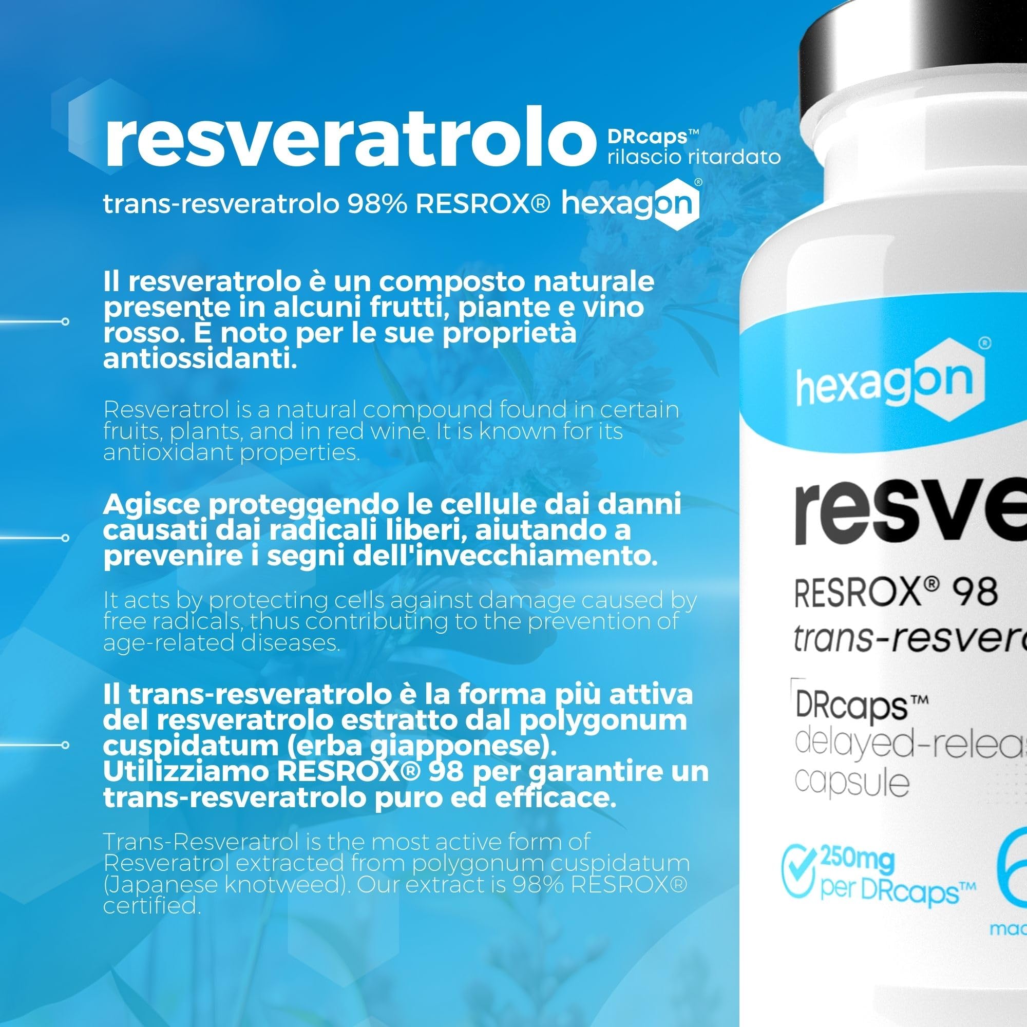 Resveratrolo - Trans-Resveratrolo 98% RESROX® - 60 Capsule DRcaps™ a rilascio ritardato, 250 mg - Alta disponibilità - Potente antiossidante e Anti-Invecchiamento - Made in France - Vegan - Hexagon