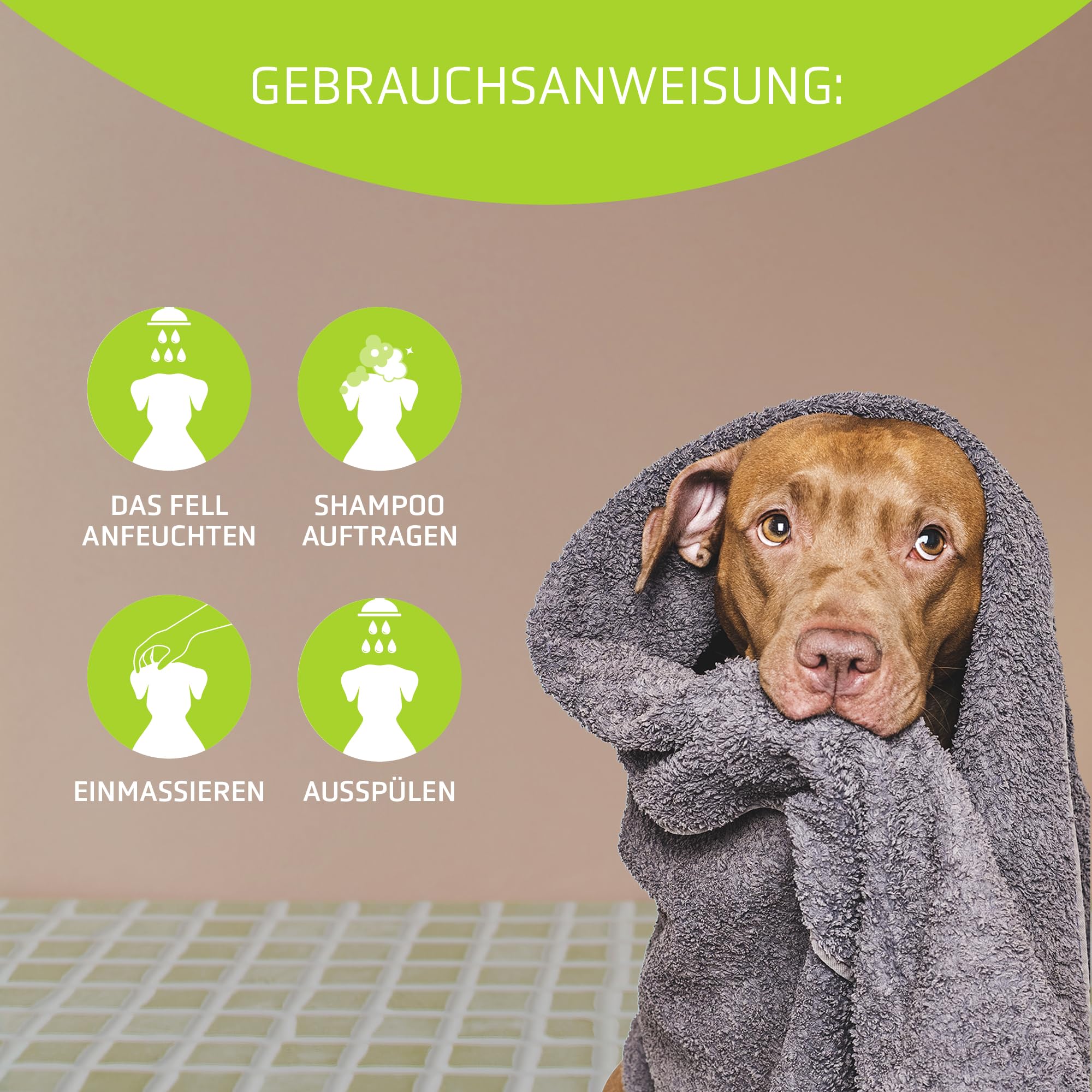 Artero Basic Hundeshampoo 5 Liter - Salonkanister als neutrales Vorwaschmittel, sehr ergiebig, für jedes Fell