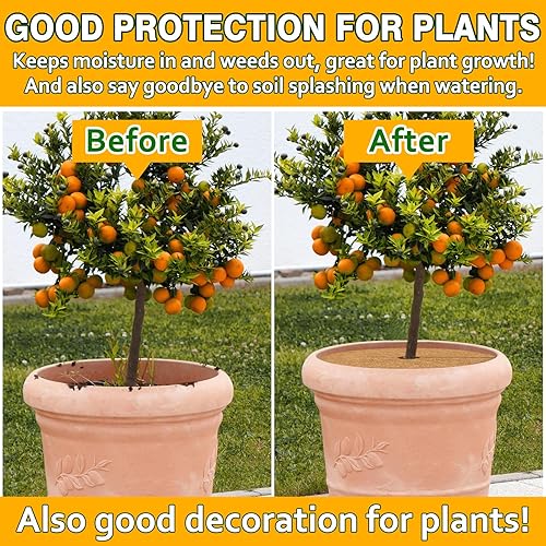 Miniatura 5 de ZeeDix Paquete de 3 anillos de mantillo de fibra de coco, 24 pulgadas, tapete de mantillo de coco de coco de 24 pulgadas, protector de árbol 100%