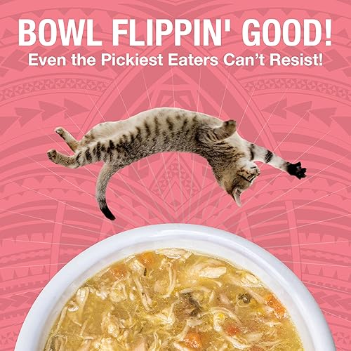 Miniatura 4 de KOHA Pure Shreds - Entrada de pollo y salmón para gatos, comida húmeda para gatos con alto contenido de proteínas, latas de 5.5 onzas (paquete de 12)