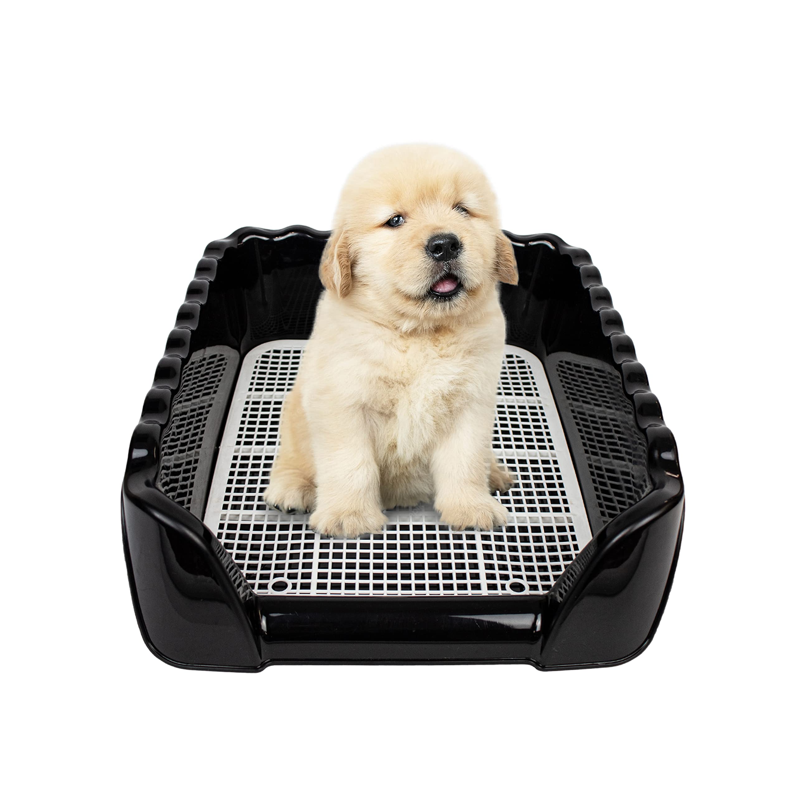 Mejora tu experiencia de compra s, () P, Is On cé Compre solo